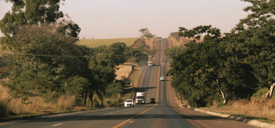 Rodovia entre árvores
